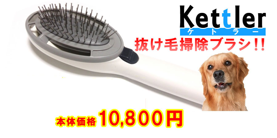 抜け毛吸引ブラシ　ケトラー